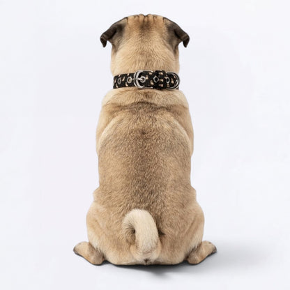 Zena - Adjustable Pug Collar