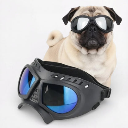 AeroPaw-Pug-Anti-UV-Sunglasses.jpg