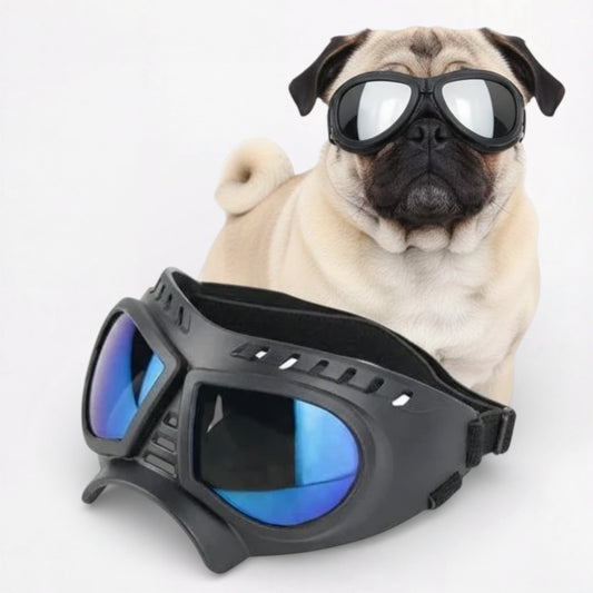AeroPaw-Pug-Anti-UV-Sunglasses.jpg