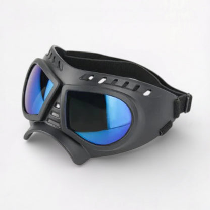 AeroPaw-Pug-Anti-UV-Sunglasses.jpg