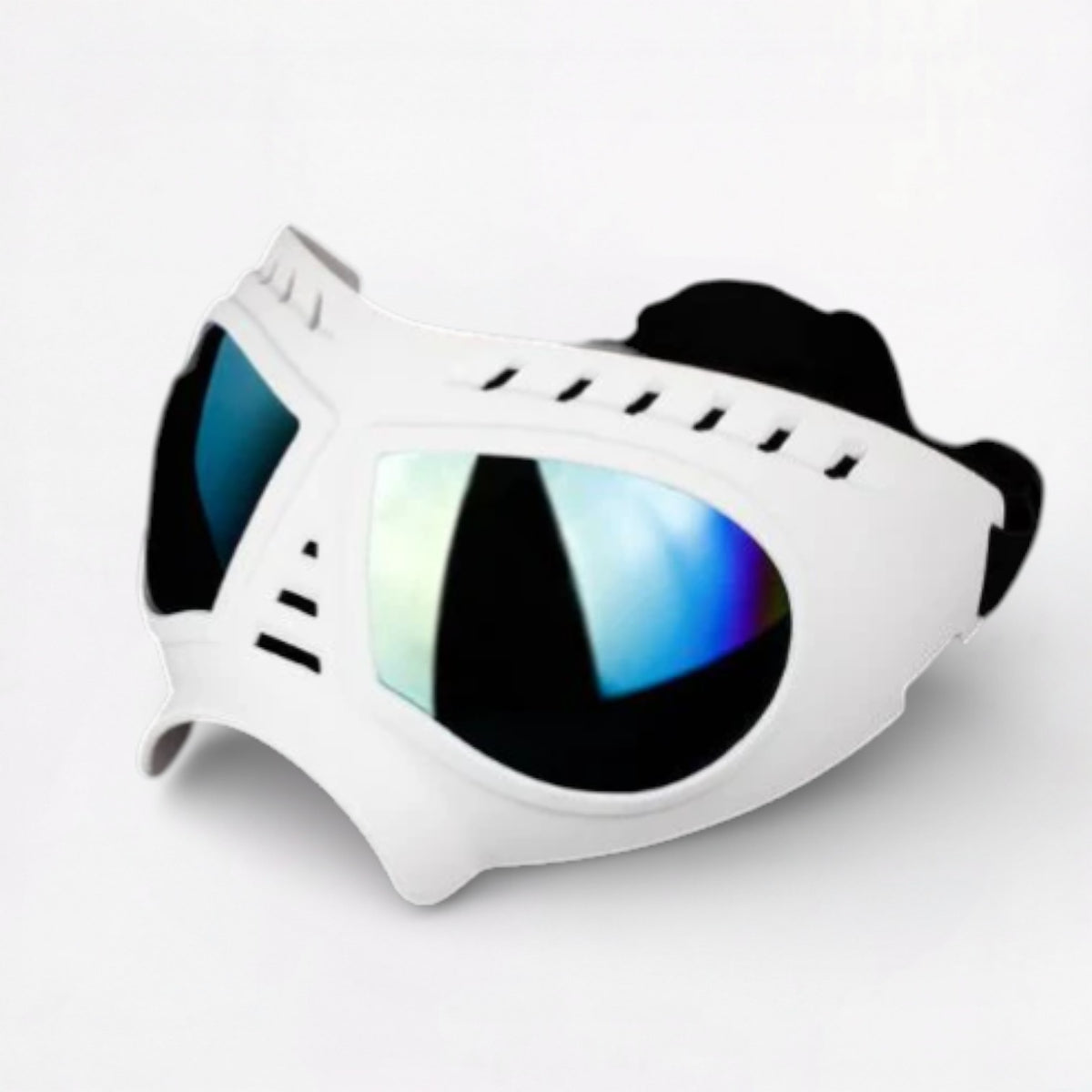 AeroPaw-Pug-Anti-UV-Sunglasses.jpg