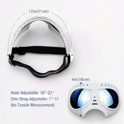 AeroPaw-Pug-Anti-UV-Sunglasses.jpg