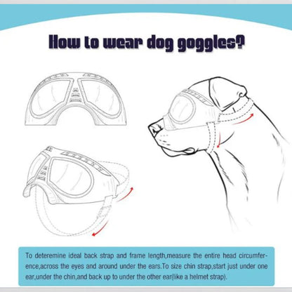 AeroPaw-Pug-Anti-UV-Sunglasses.jpg
