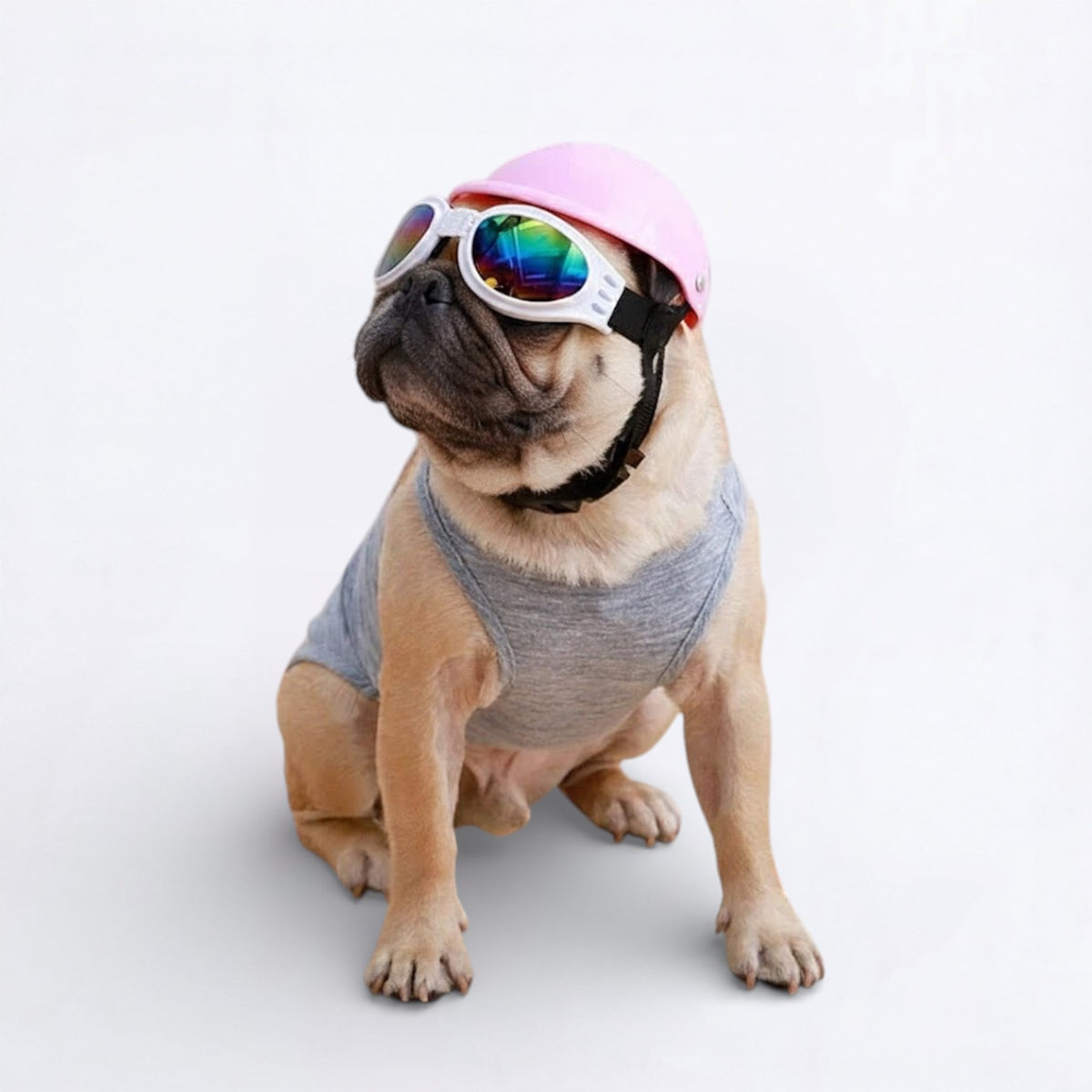 AeroPaw-Pug-Waterproof-Goggles.jpg