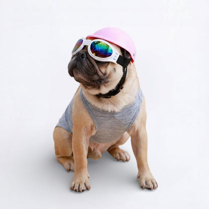 AeroPaw-Pug-Waterproof-Goggles.jpg