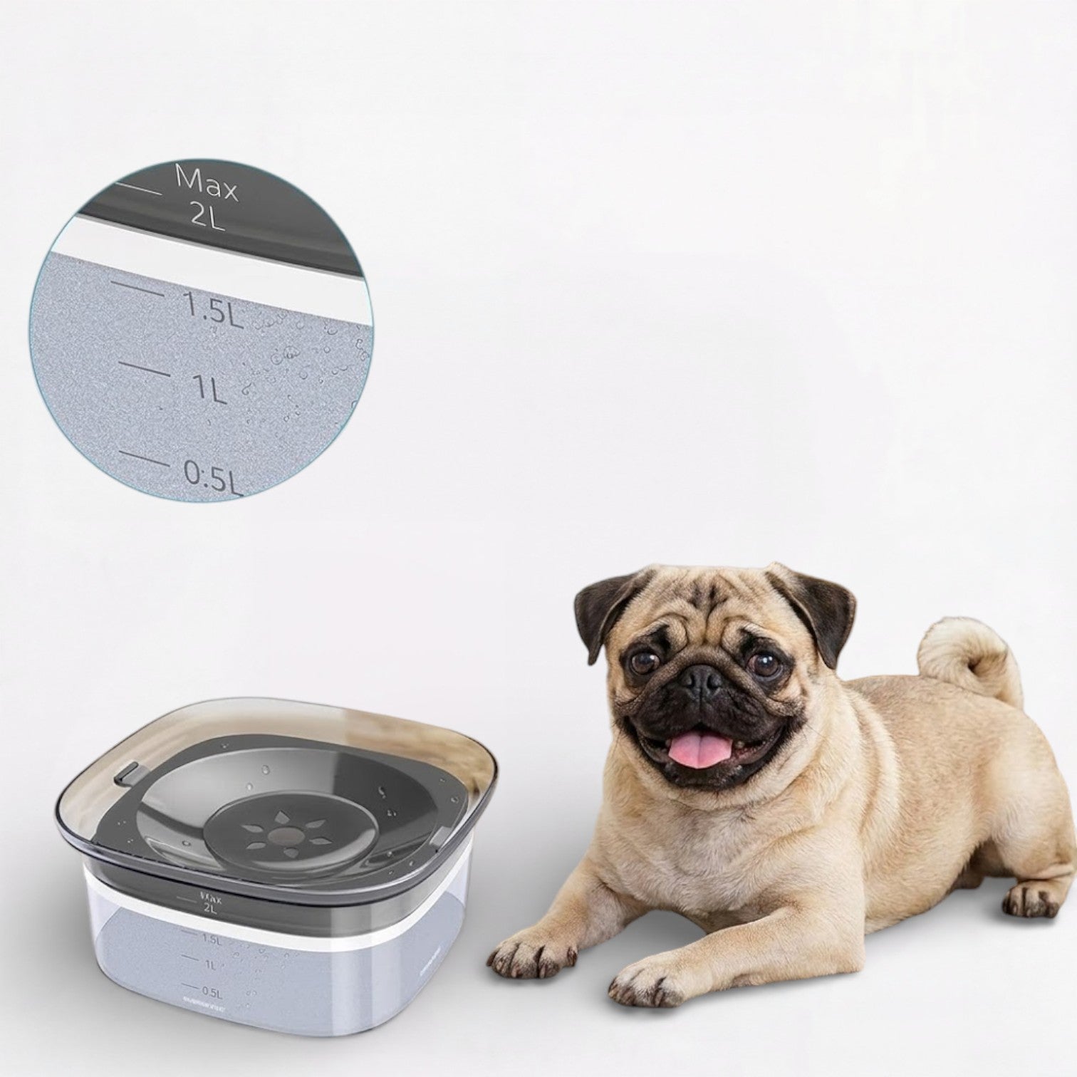 AquaPaw-Pug-Floating-Water-Bowl.jpg