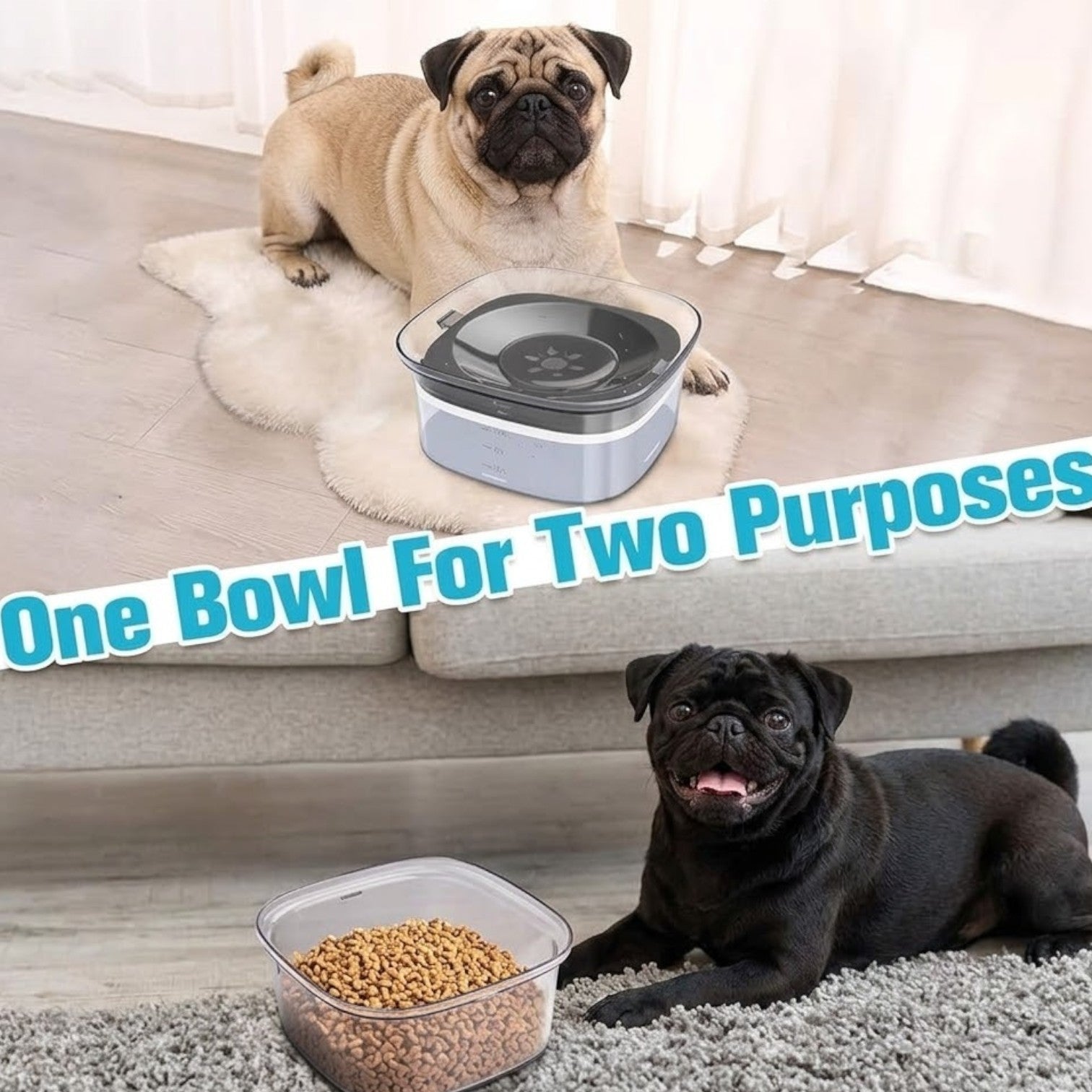 AquaPaw-Pug-Floating-Water-Bowl.jpg