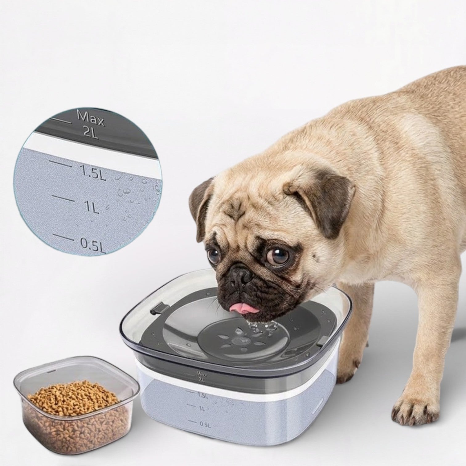 AquaPaw-Pug-Floating-Water-Bowl.jpg