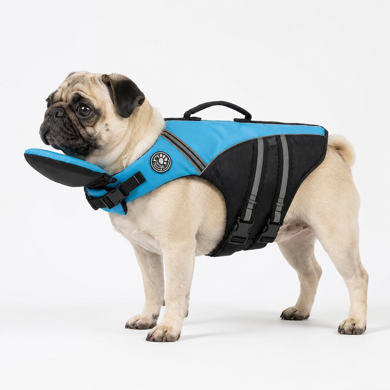 AquaPug-Pug-Life-Vest.jpg
