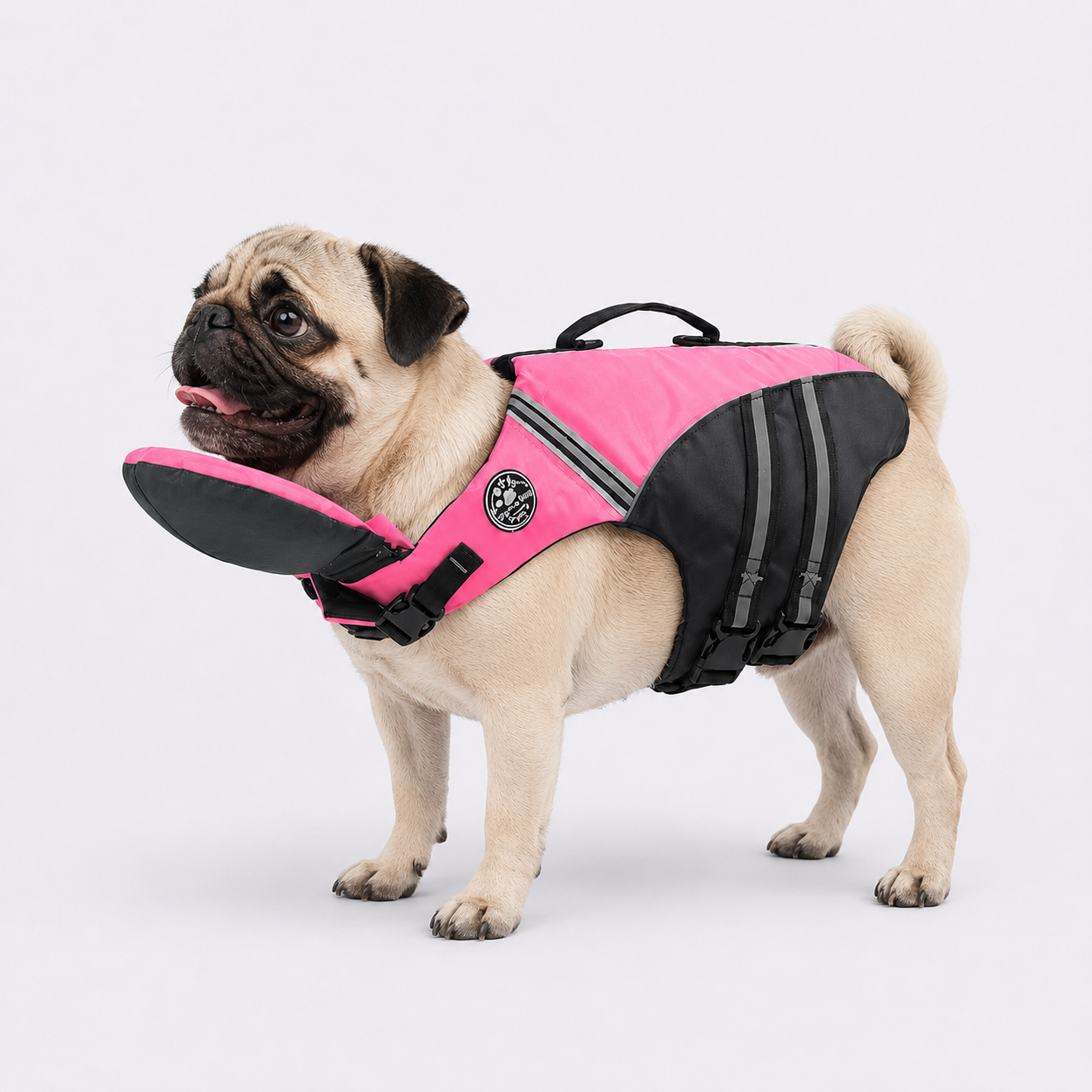 AquaPug-Pug-Life-Vest.jpg