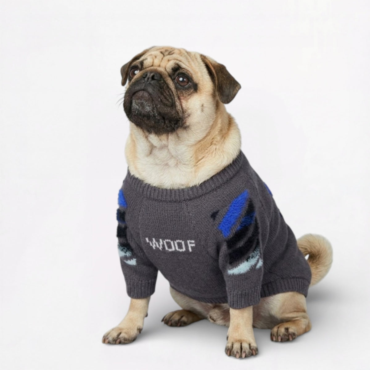 Barkly-Pug-Woof-Winter-Sweater.jpg