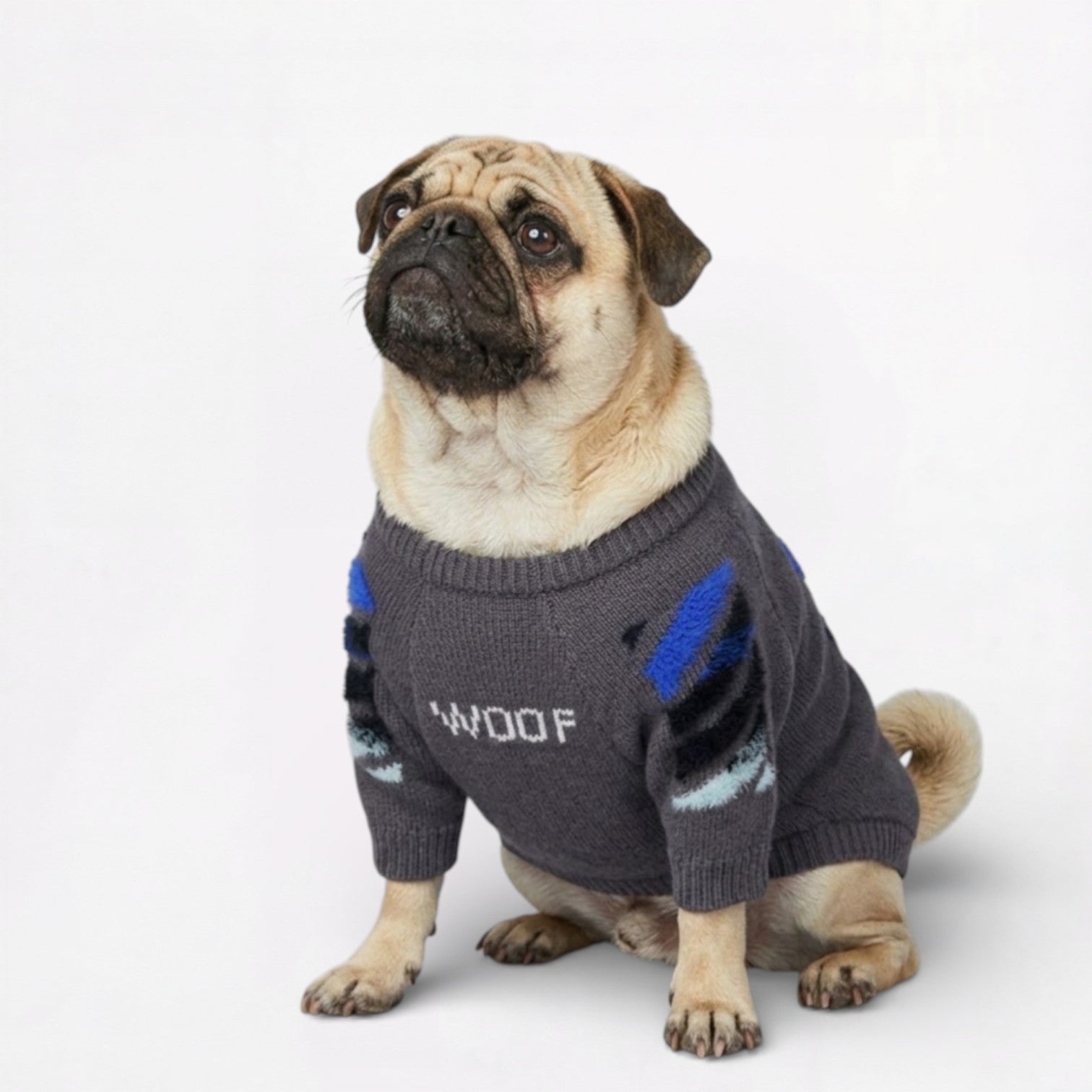 Barkly-Pug-Woof-Winter-Sweater.jpg