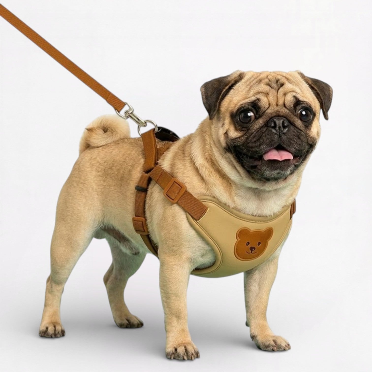BearPaw-Pug-Soft-Padded-Harness.jpg