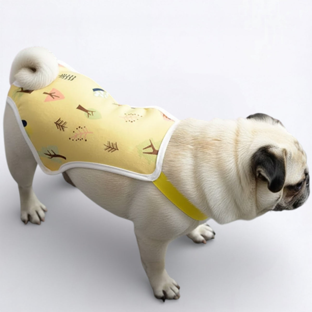 Bloomzy-Female-Pug-Washable-Diaper.jpg