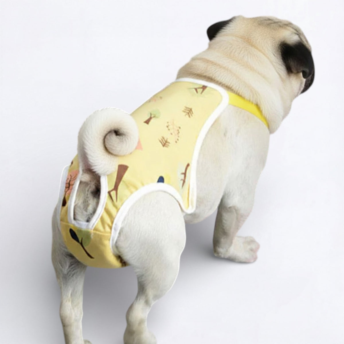 Bloomzy-Female-Pug-Washable-Diaper.jpg