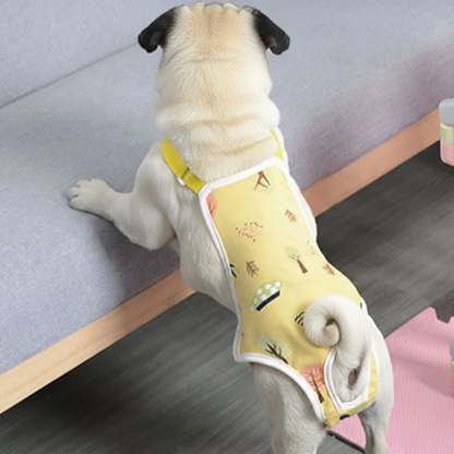 Bloomzy-Female-Pug-Washable-Diaper.jpg