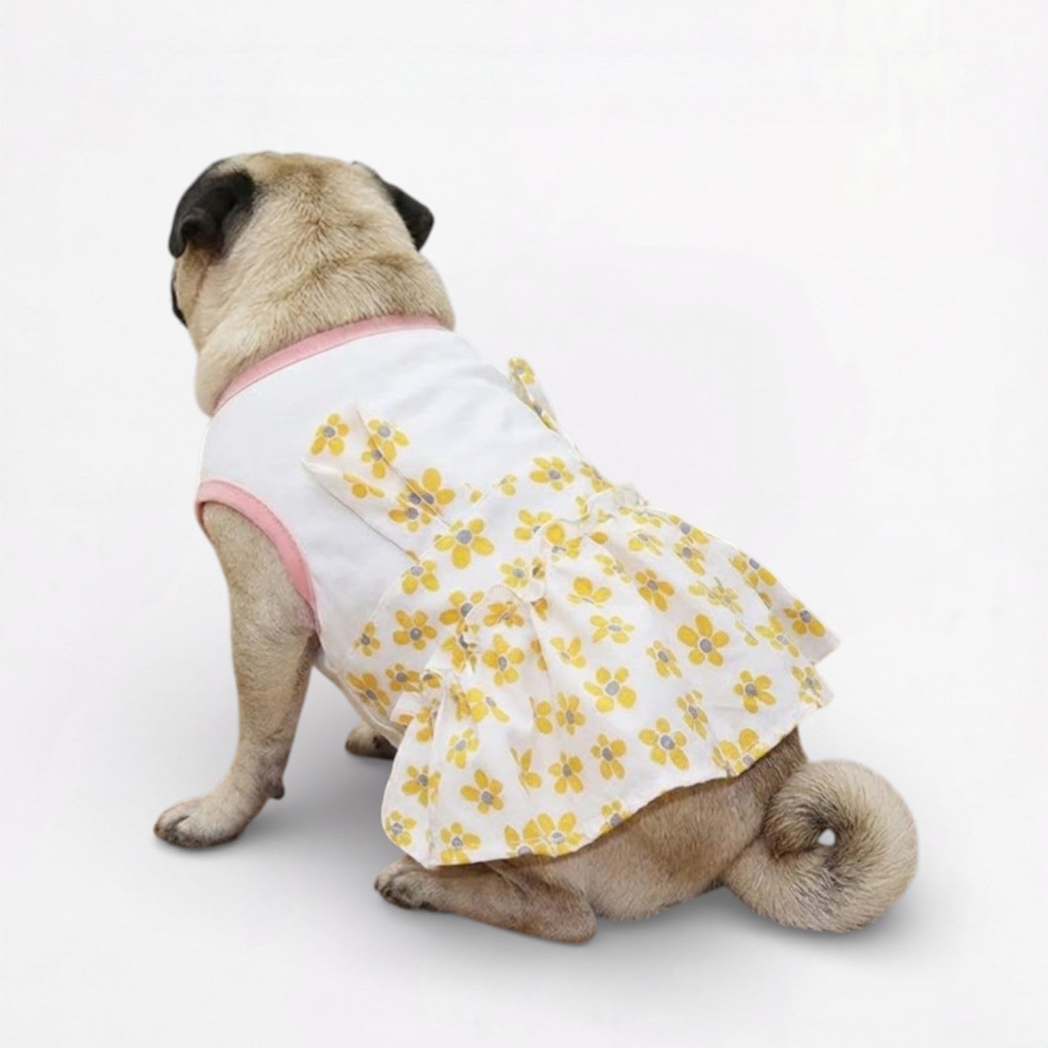 Blossie-Pug-Stylish-Summer-Skirt.jpg