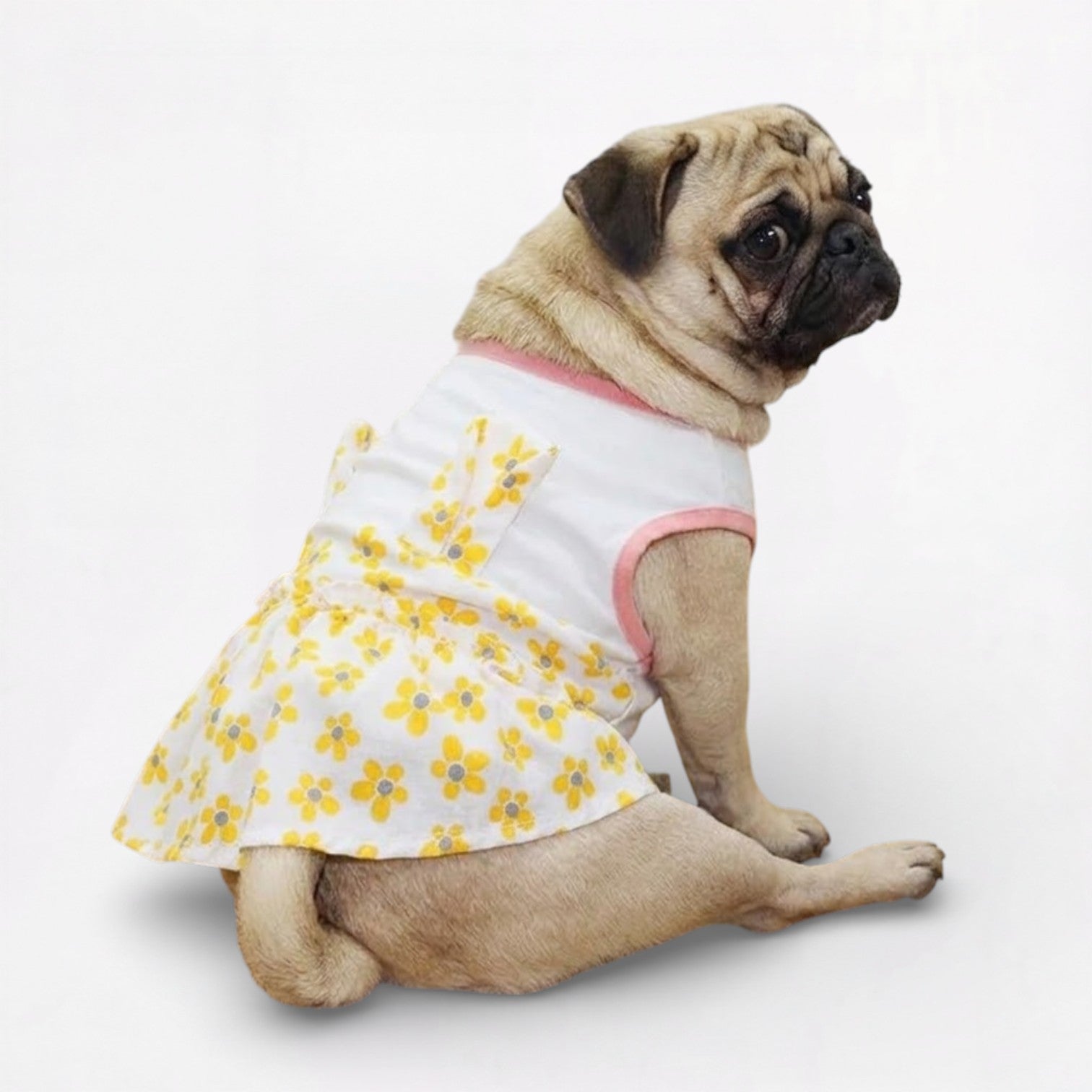 Blossie-Pug-Stylish-Summer-Skirt.jpg