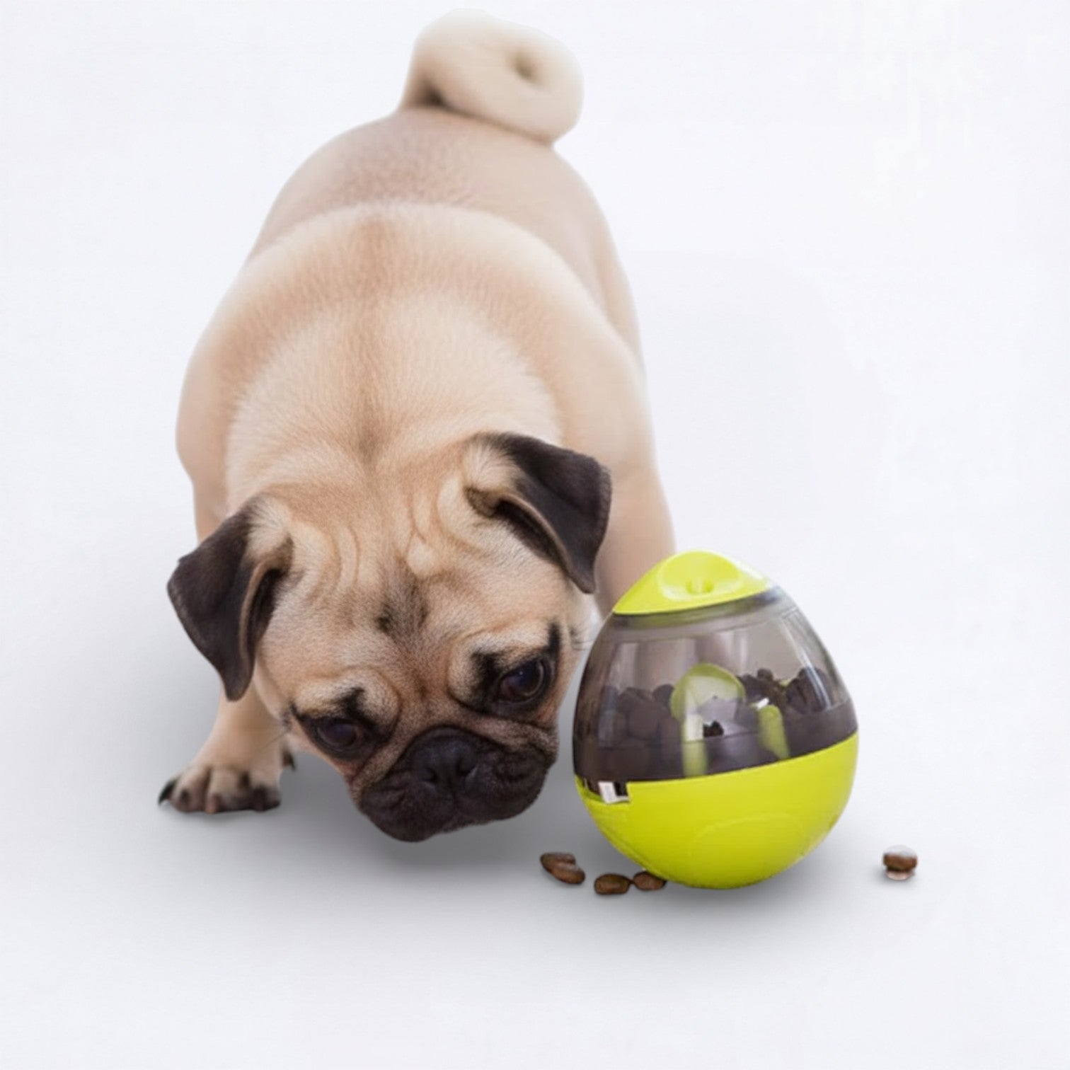 BrainBite-Pug-IQ-Treat-Ball.jpg