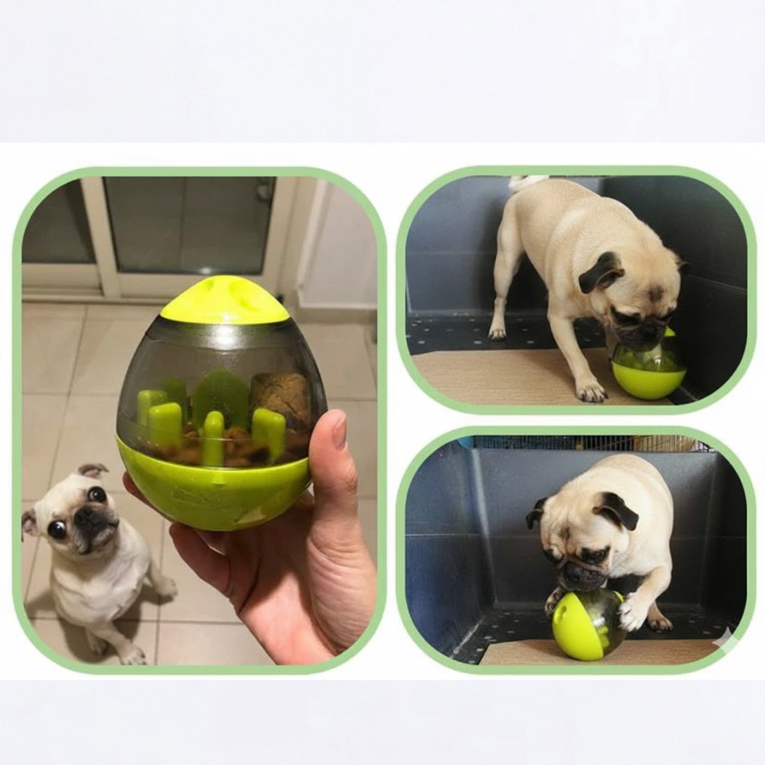 BrainBite-Pug-IQ-Treat-Ball.jpg