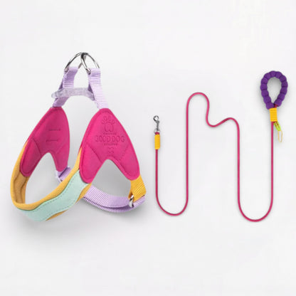 BreezyPaws-Pug-Harness-Leash-Set.jpg