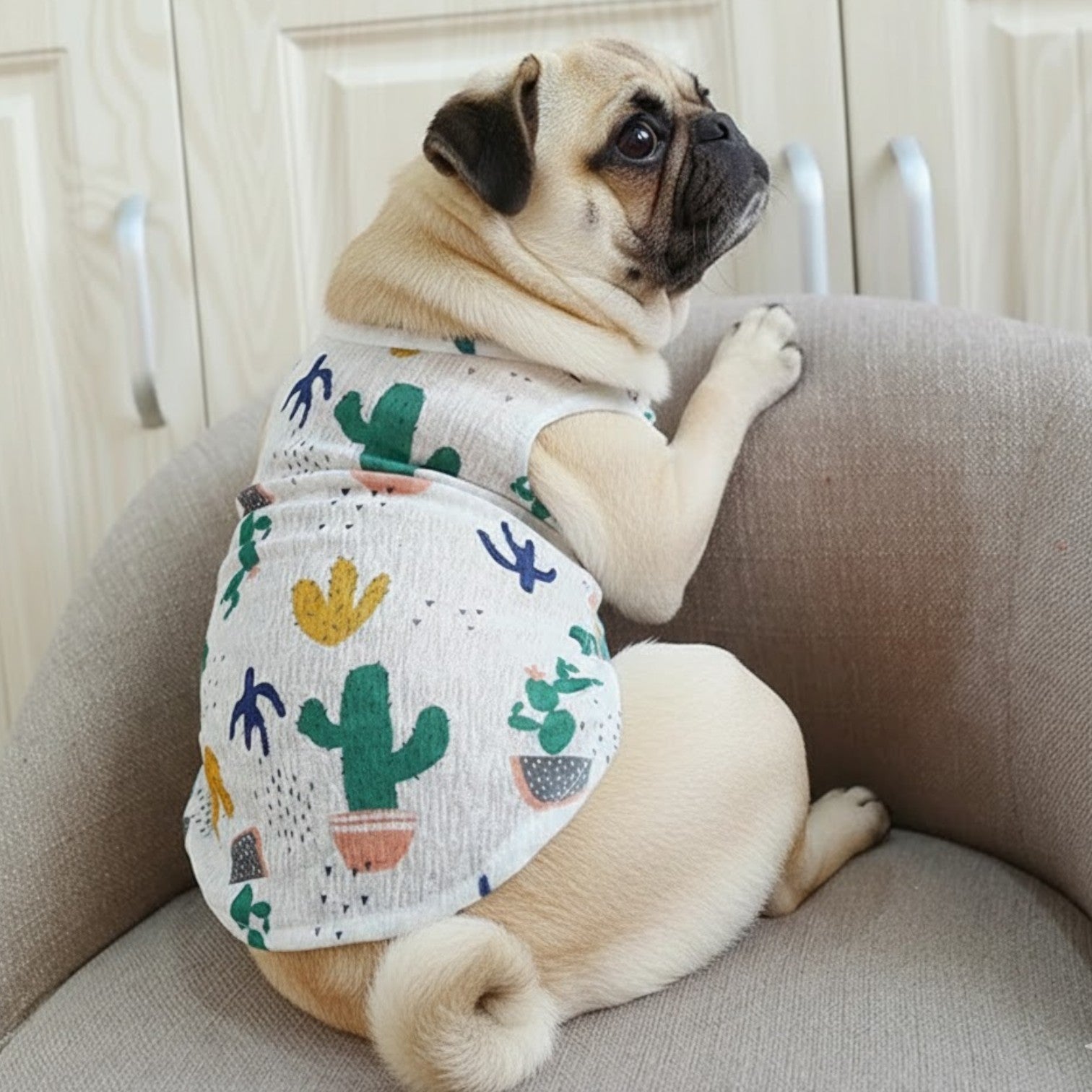 BreezyPaws-Pug-Summer-Shirt.jpg