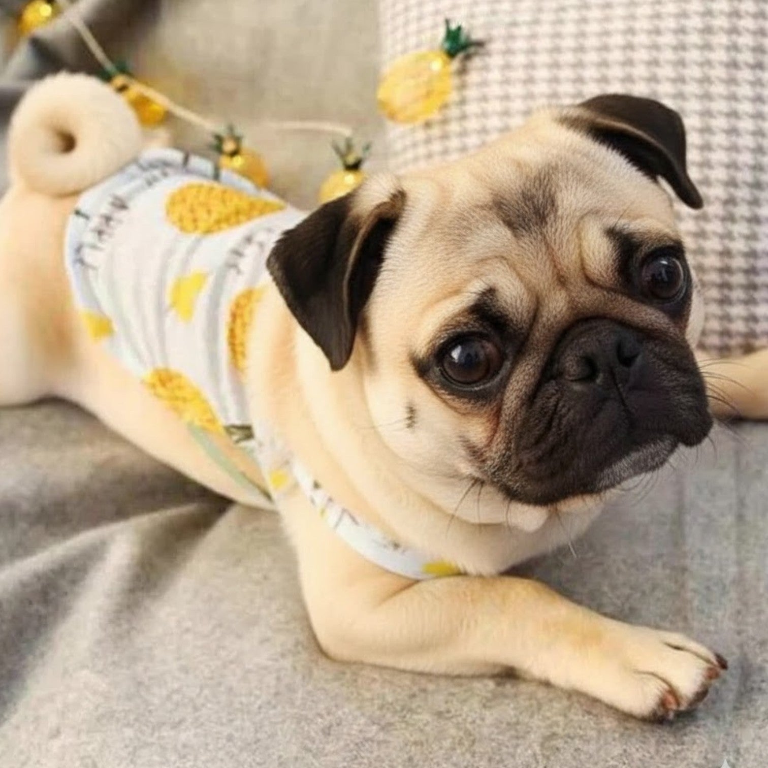 BreezyPaws-Pug-Summer-Shirt.jpg