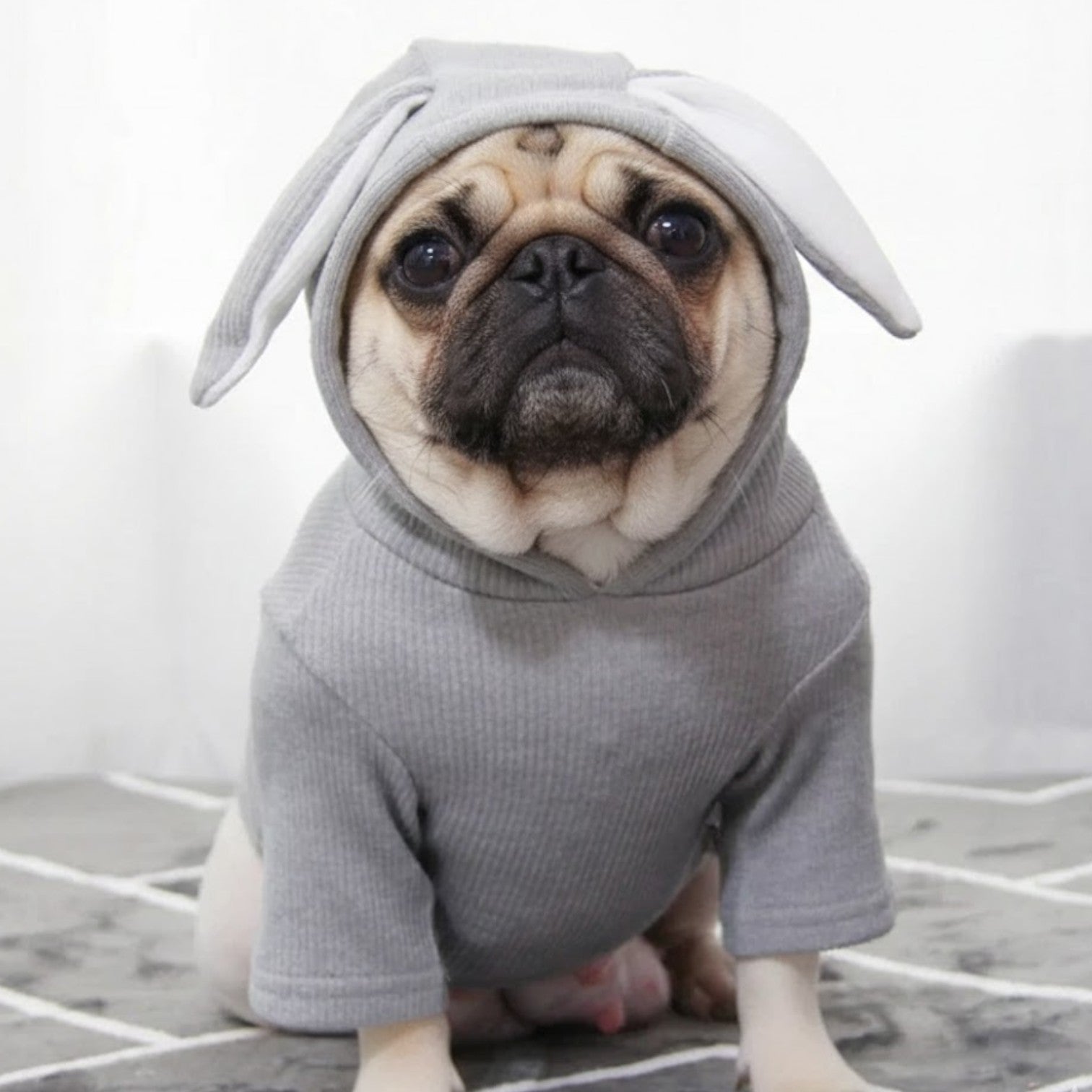 BunPaw-Pug-Rabbit-Hoodie.jpg