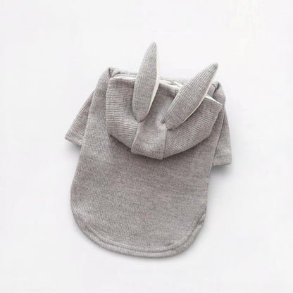 BunPaw-Pug-Rabbit-Hoodie.jpg