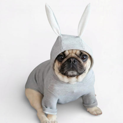 BunPaw-Pug-Rabbit-Hoodie.jpg