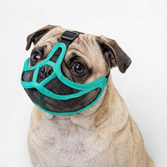 CalmPaw-Pug-Soft-Mesh-Muzzle.jpg