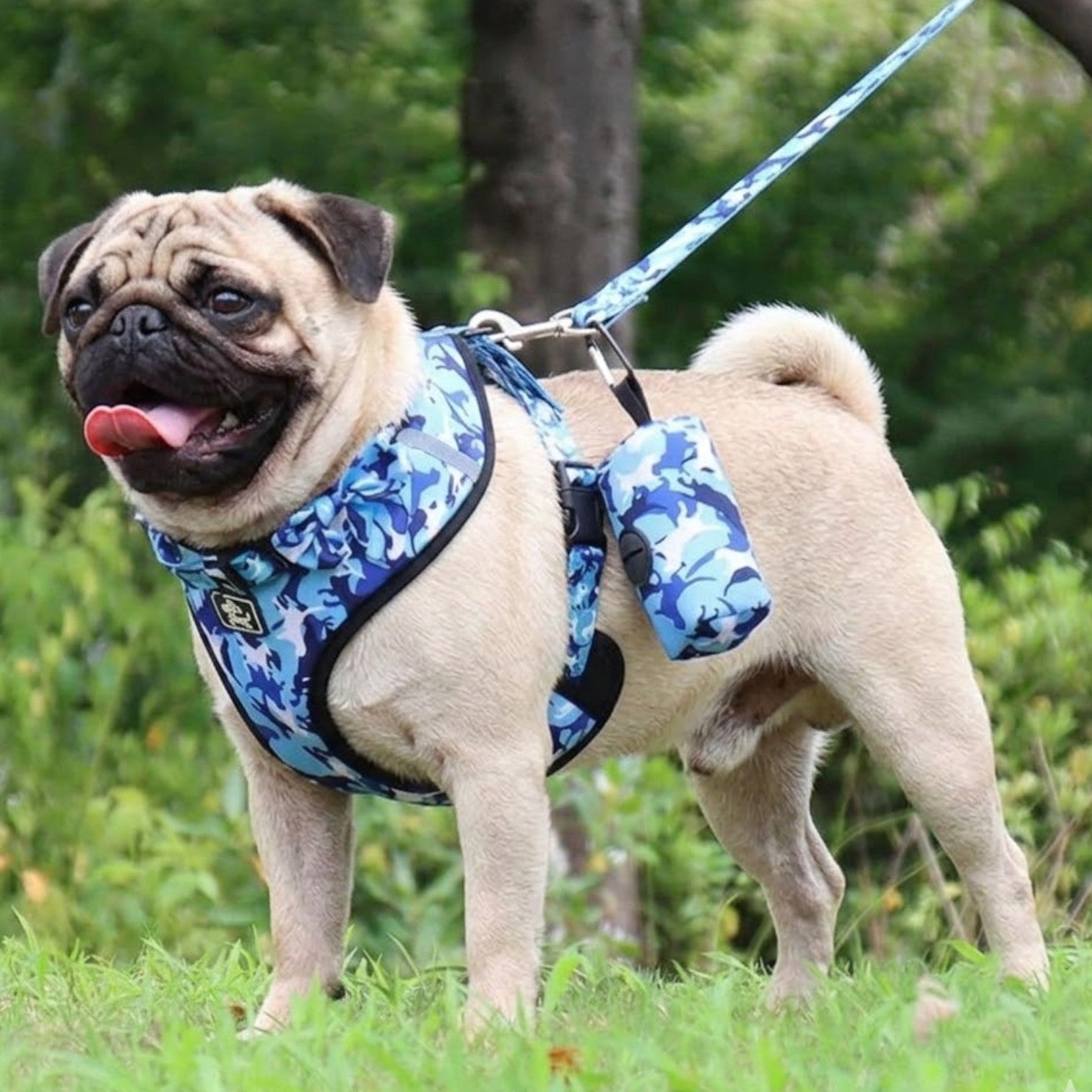 CamoStride-Pug-Adjustable-Harness-Set.jpg