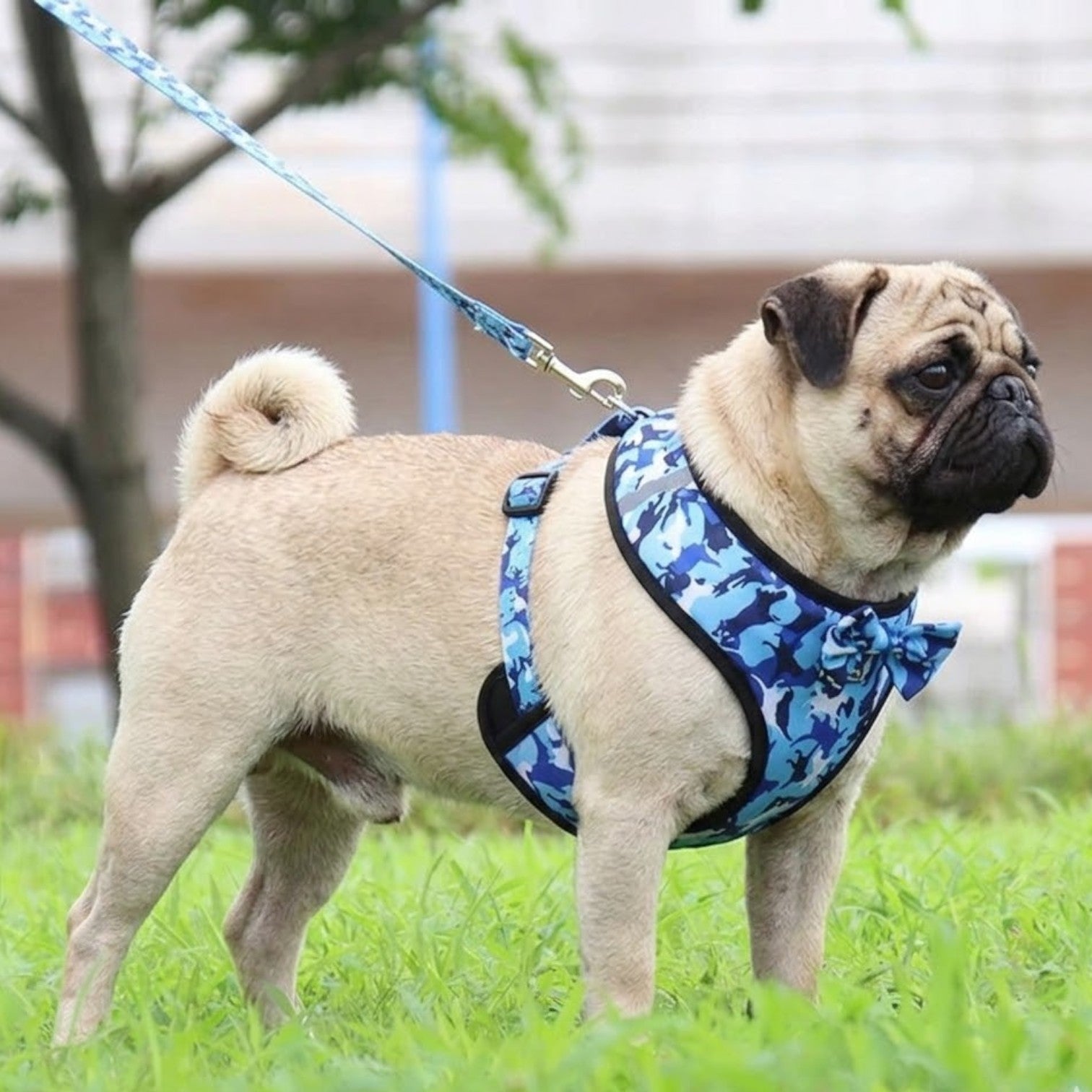 CamoStride-Pug-Adjustable-Harness-Set.jpg