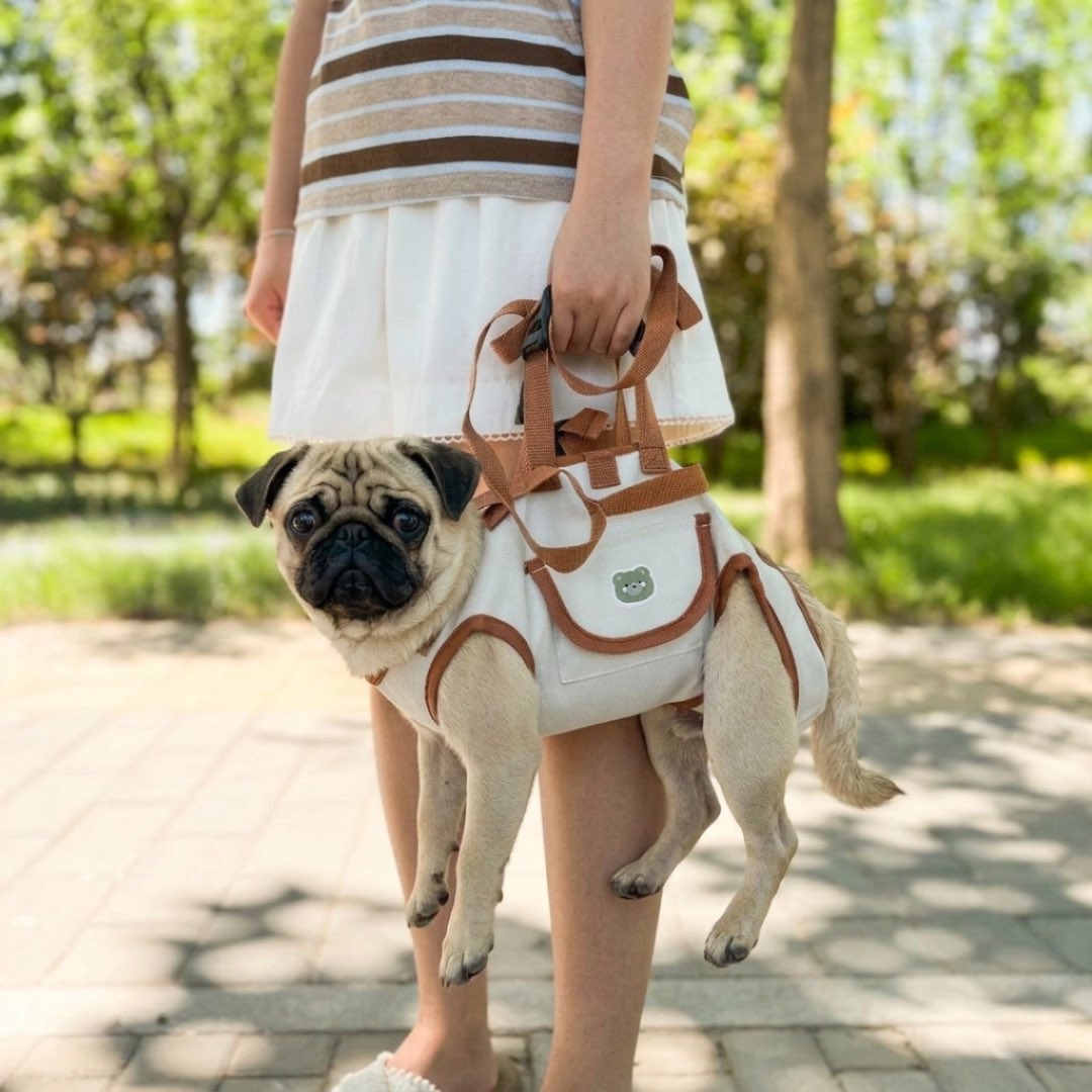 CarryNest-Pug-Carrier-Backpack.jpg