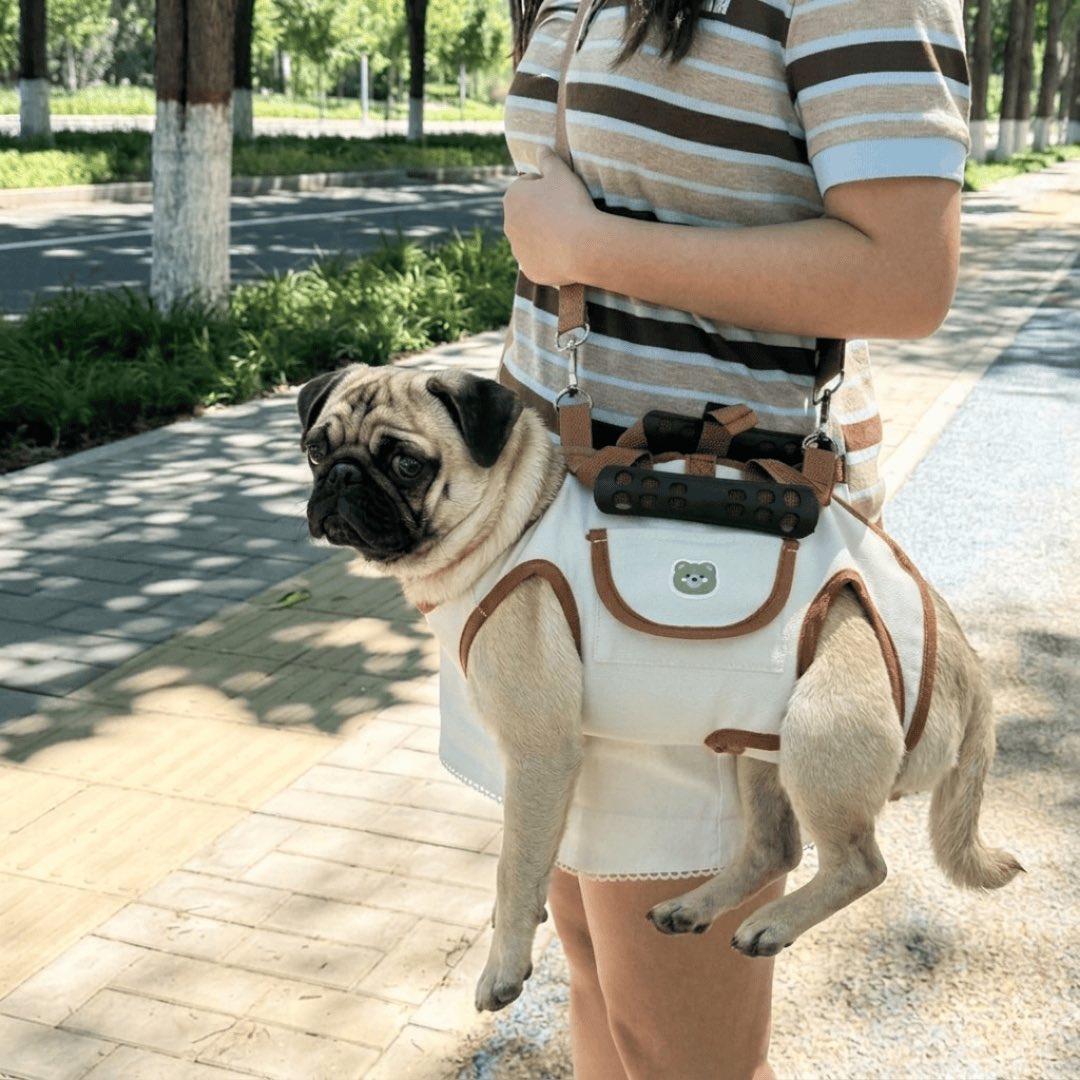 CarryNest-Pug-Carrier-Backpack.jpg