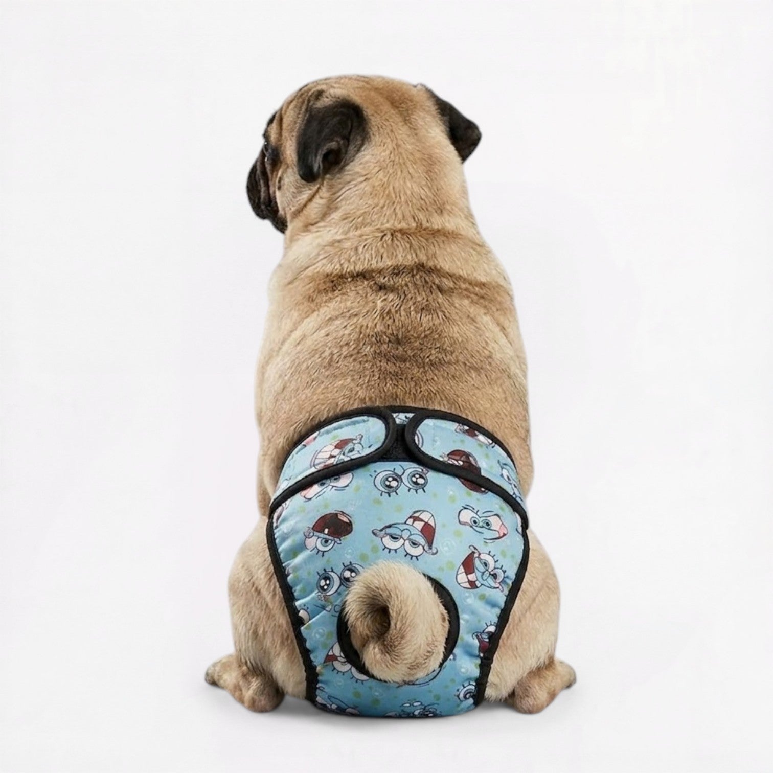 CartoPaw-Pug-Cartoon-Diaper.jpg