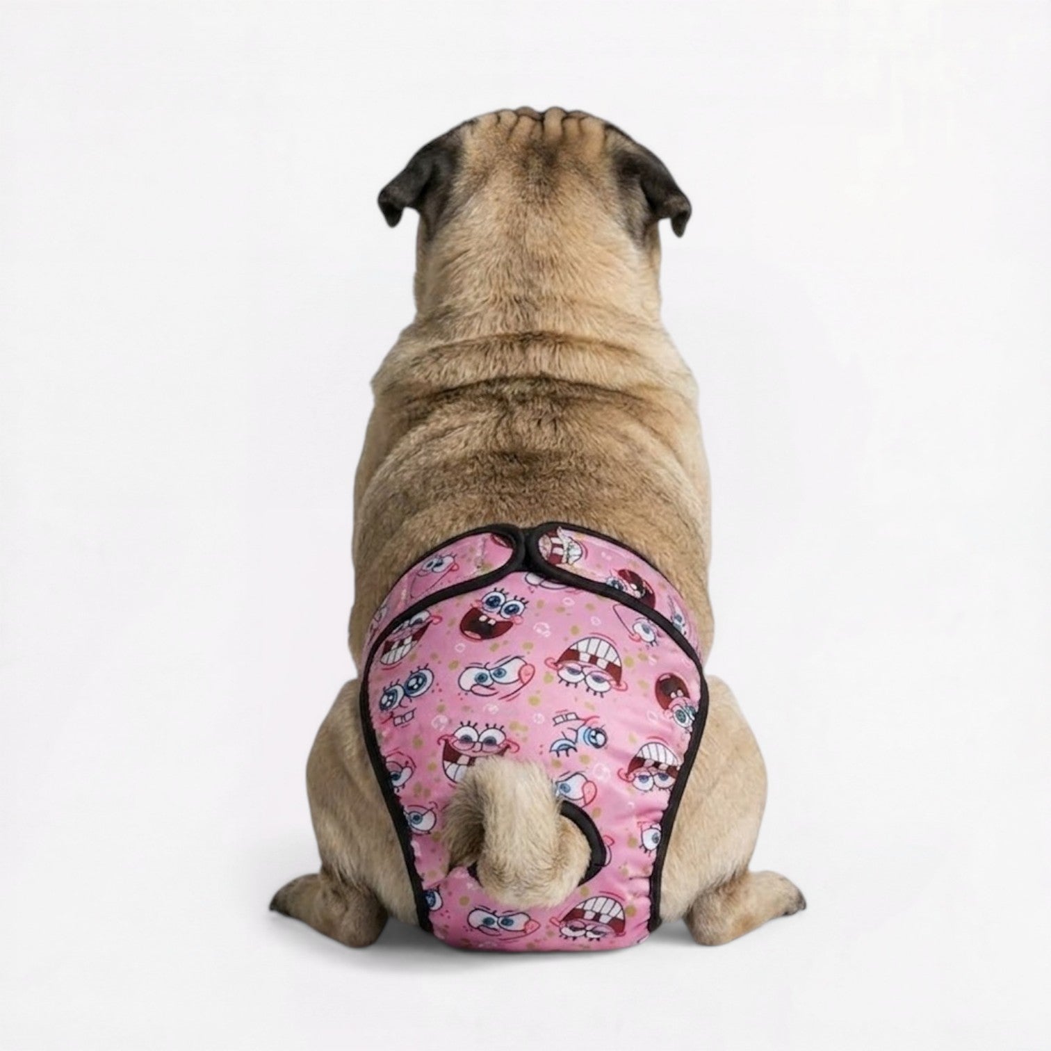 CartoPaw-Pug-Cartoon-Diaper.jpg