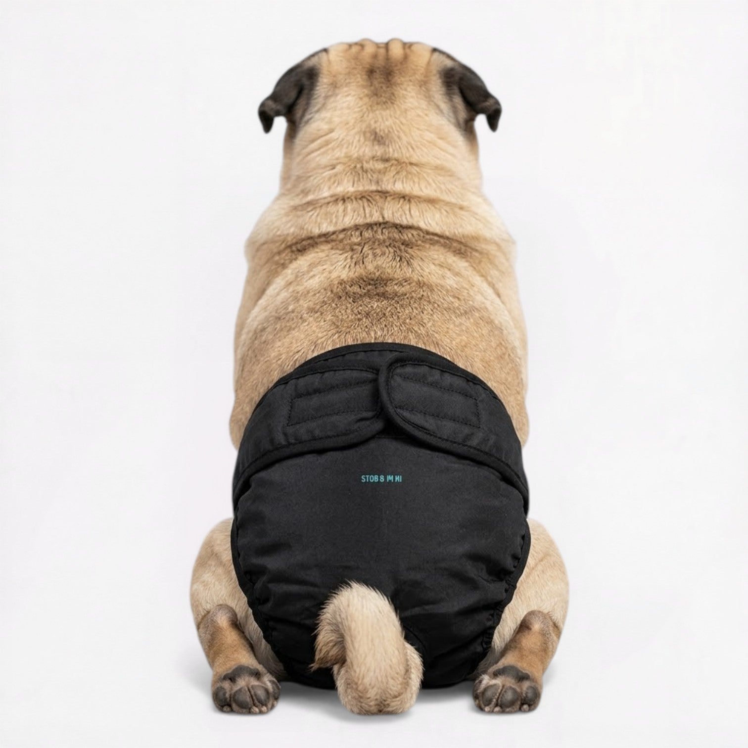 CartoPaw-Pug-Cartoon-Diaper.jpg