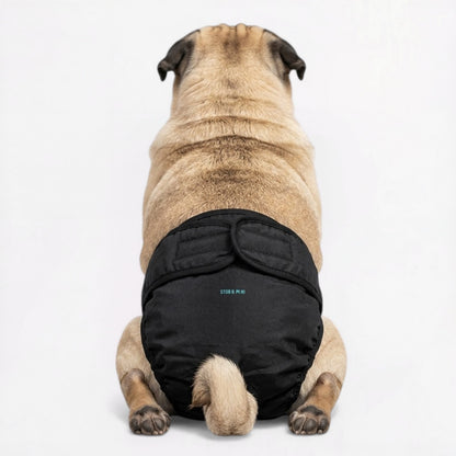 CartoPaw-Pug-Cartoon-Diaper.jpg
