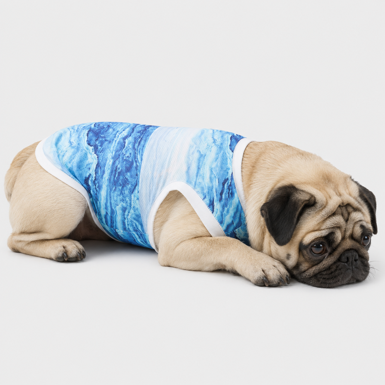 ChillPaw-Pug-Summer-Cooling-Vest.jpg