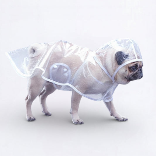 ClearShield-Pug-Transparent-Raincoat.jpg