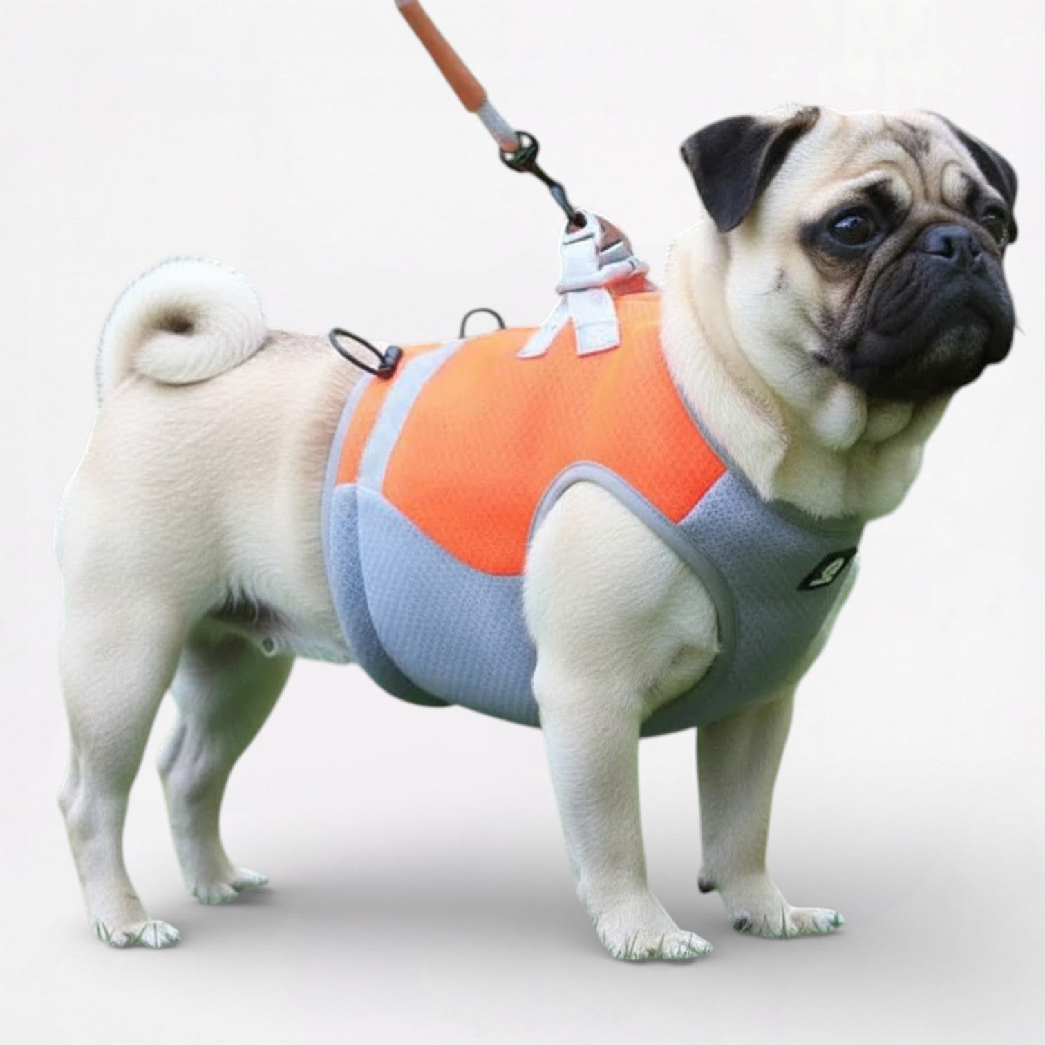 CoolGuard-Pug-Summer-Cooling-Vest.jpg