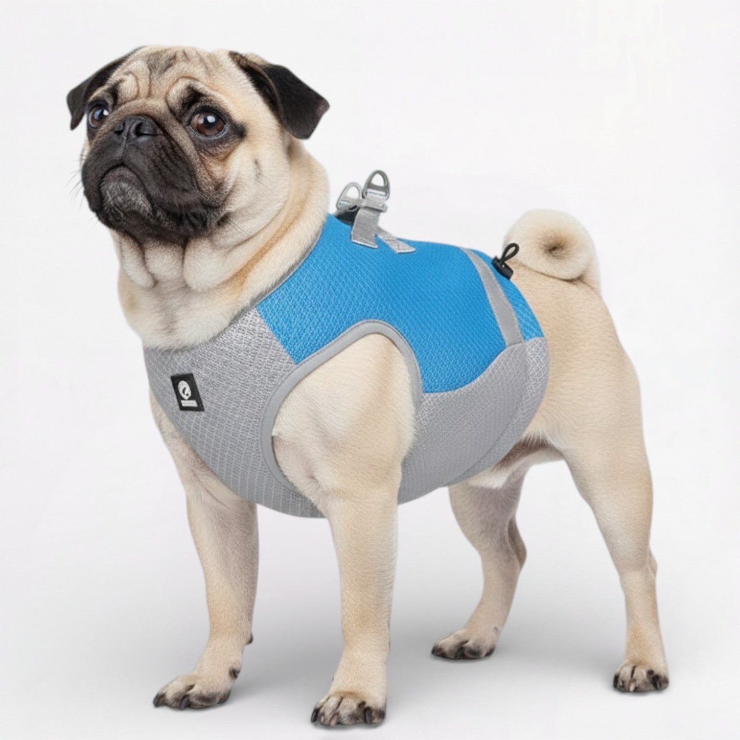 CoolGuard-Pug-Summer-Cooling-Vest.jpg