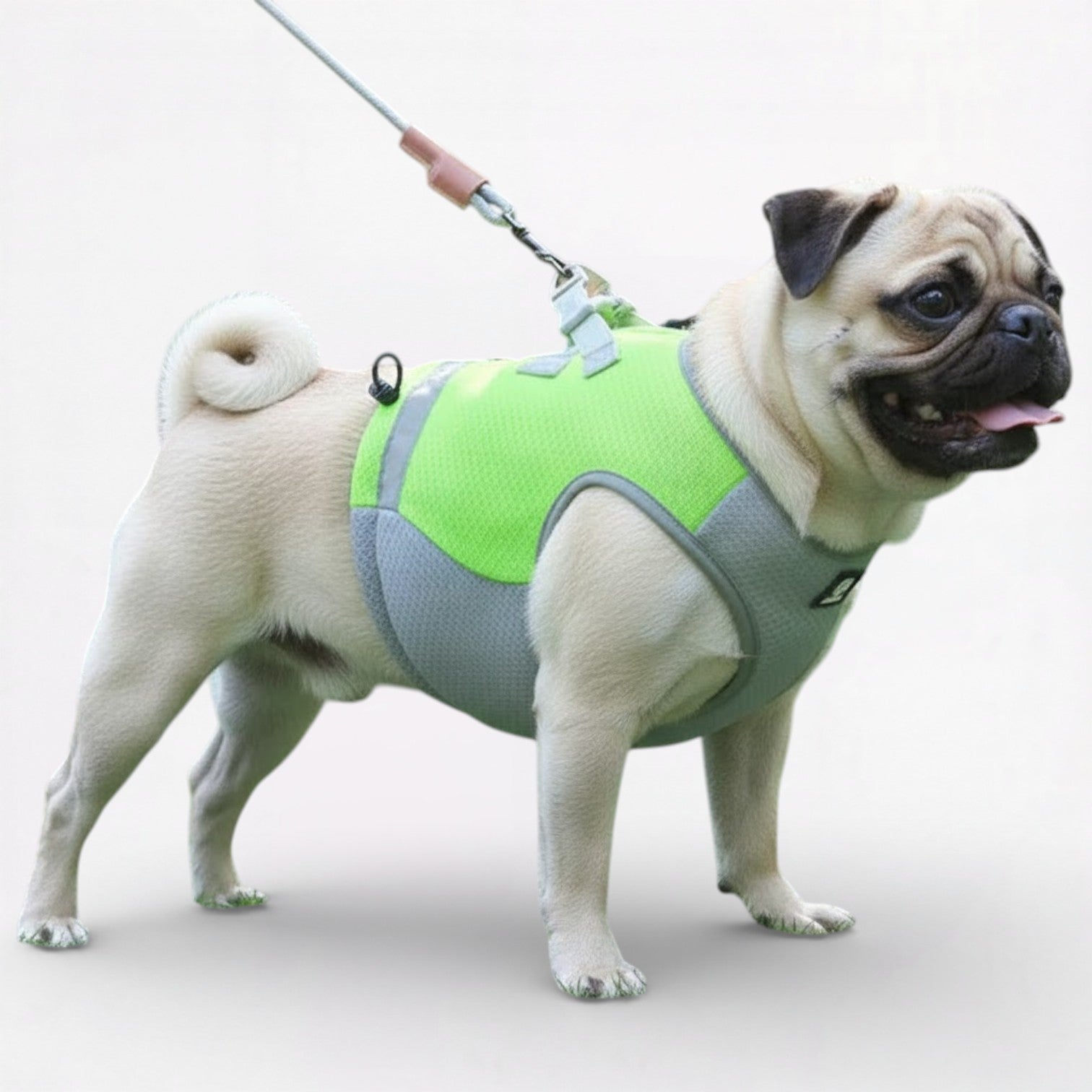 CoolGuard-Pug-Summer-Cooling-Vest.jpg