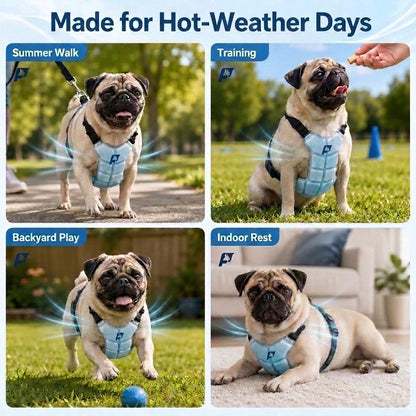 CoolPaw-Pug-Cooling-Harness.jpg