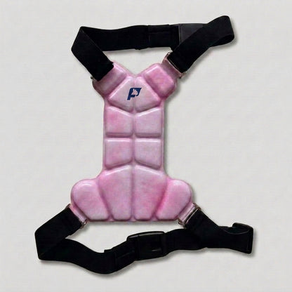 CoolPaw-Pug-Cooling-Harness.jpg