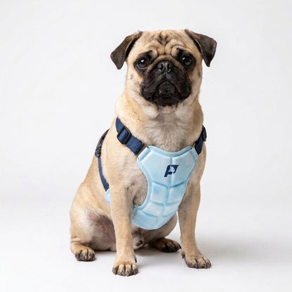 CoolPaw-Pug-Cooling-Harness.jpg