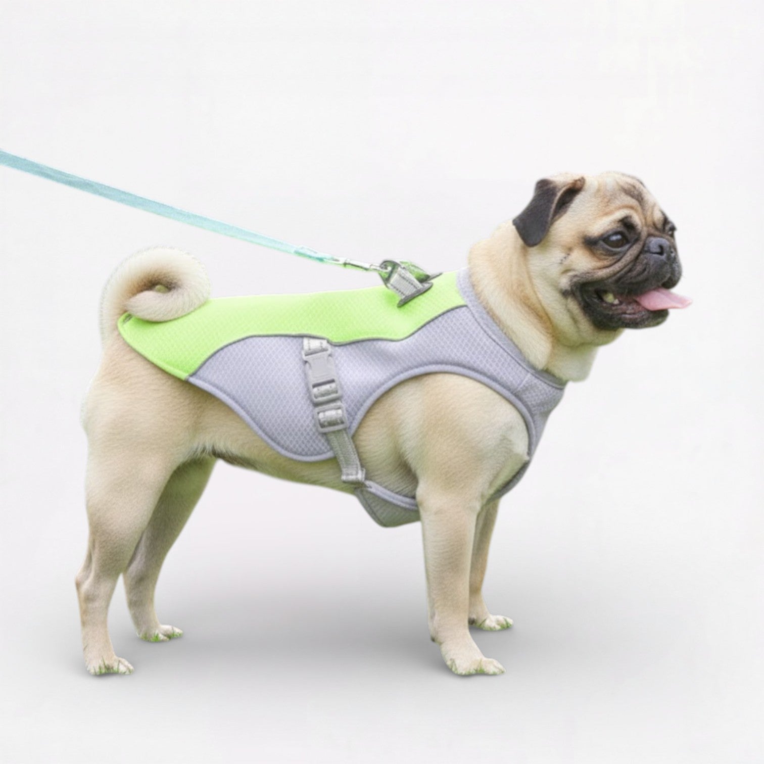 CoolPaw-Pug-Summer-Cooling-Vest.jpg