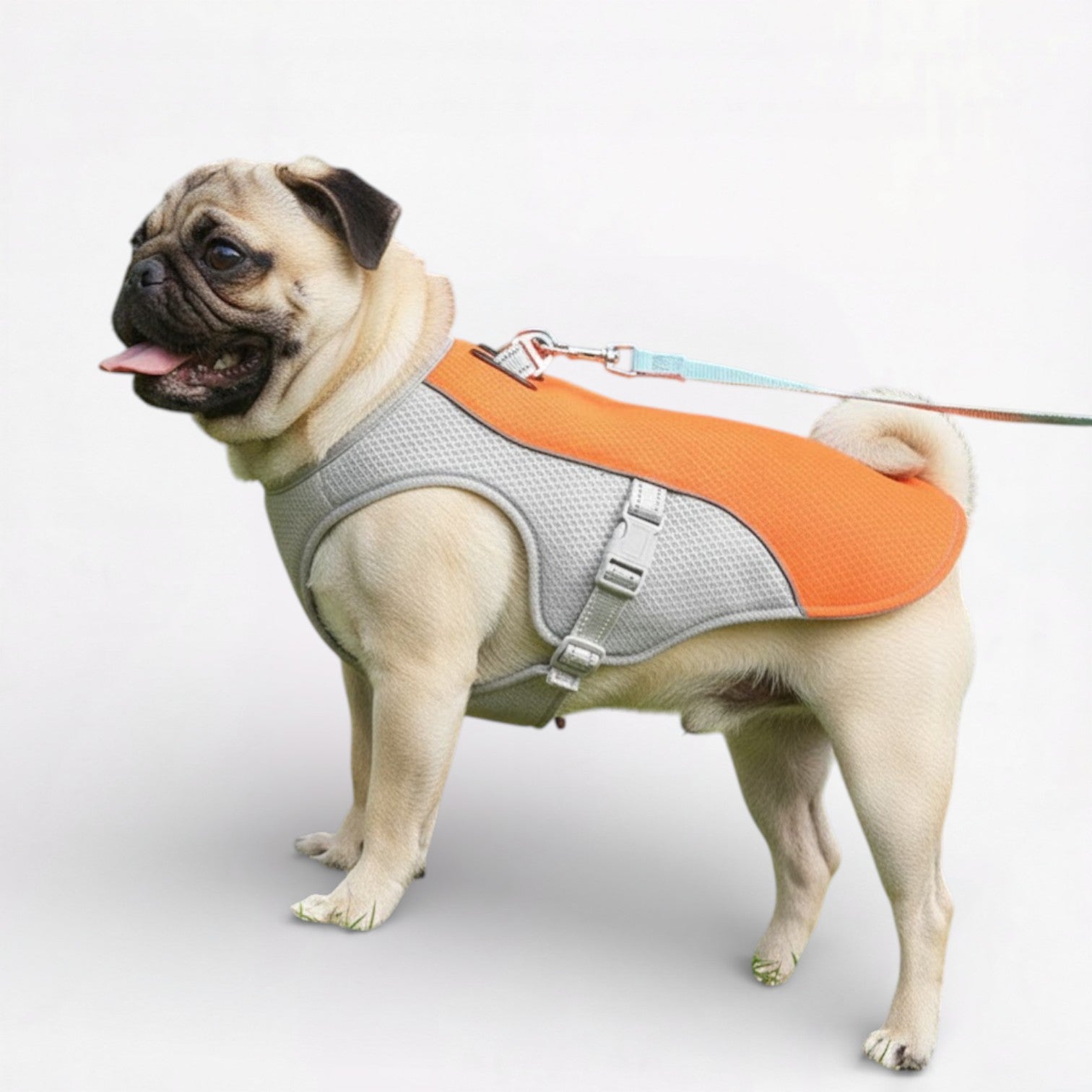 CoolPaw-Pug-Summer-Cooling-Vest.jpg