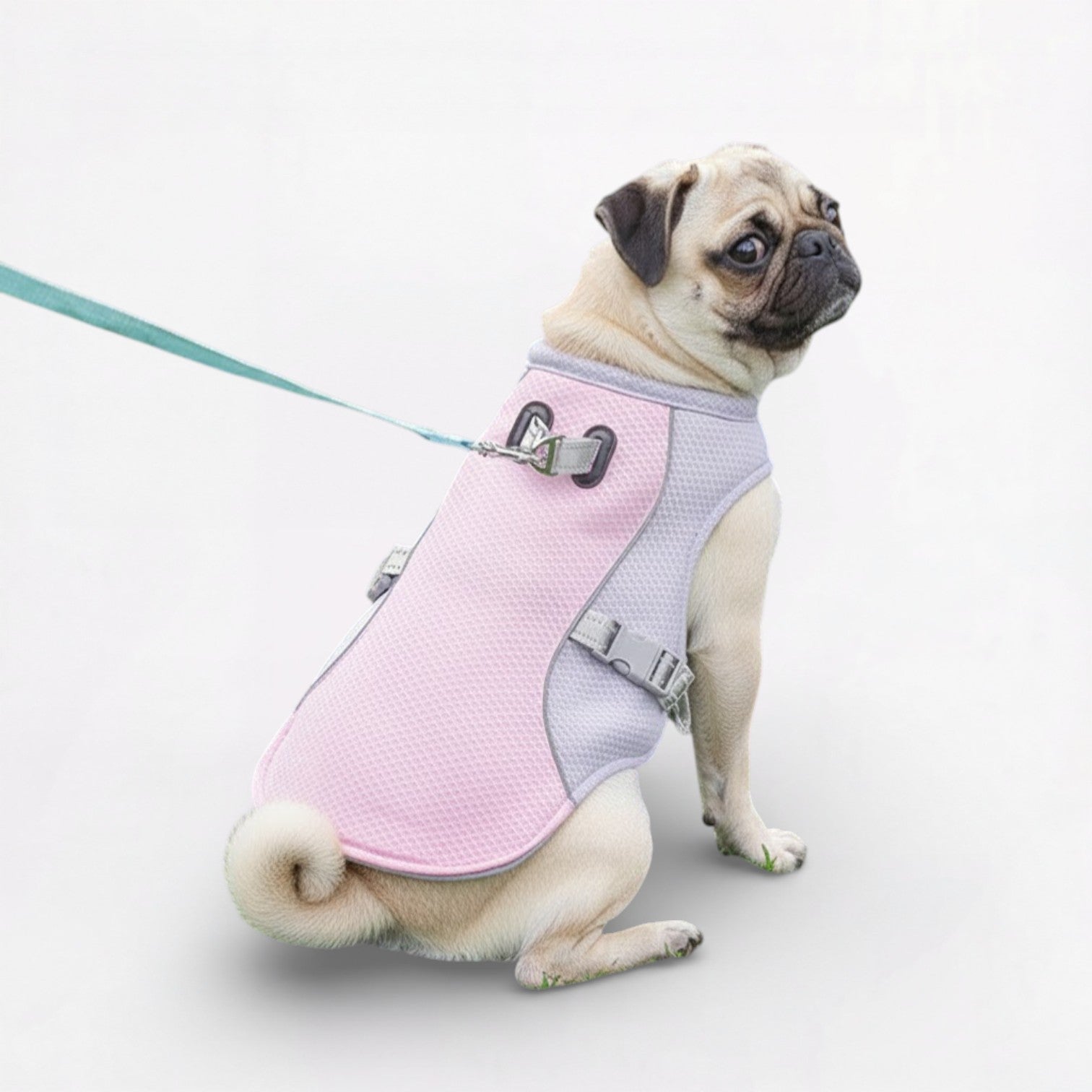 CoolPaw-Pug-Summer-Cooling-Vest.jpg